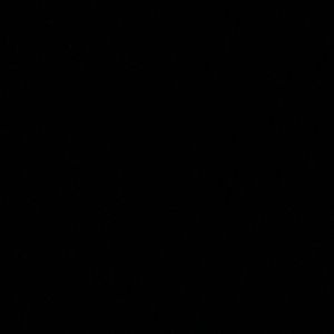 Meet your Posher, Beverly